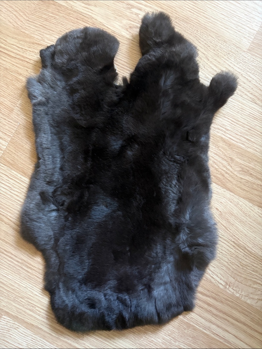 B0084 Rex rabbit hide